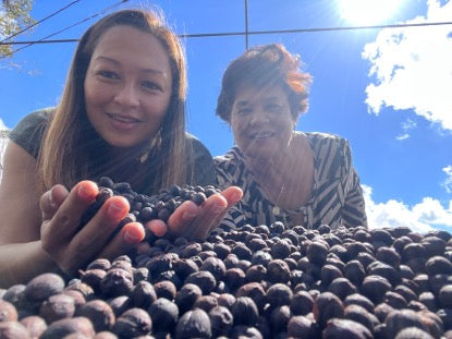 Guatemala Reserve Set – Roasting from December 12