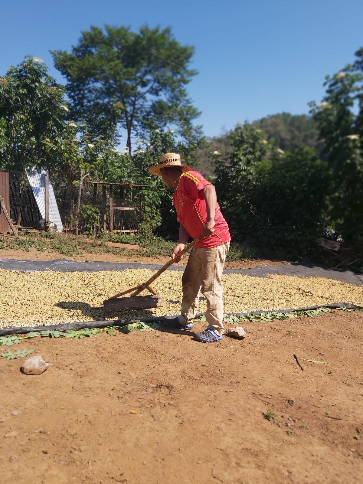 Guatemala Huesta Heights