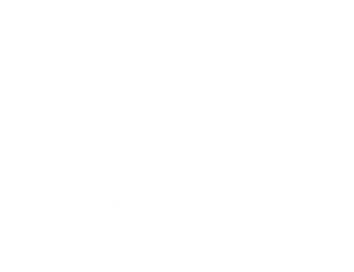 Person on skateboard with dog